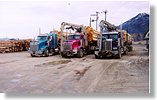 3-trucks-loaded-thumb.jpg - 5953 Bytes